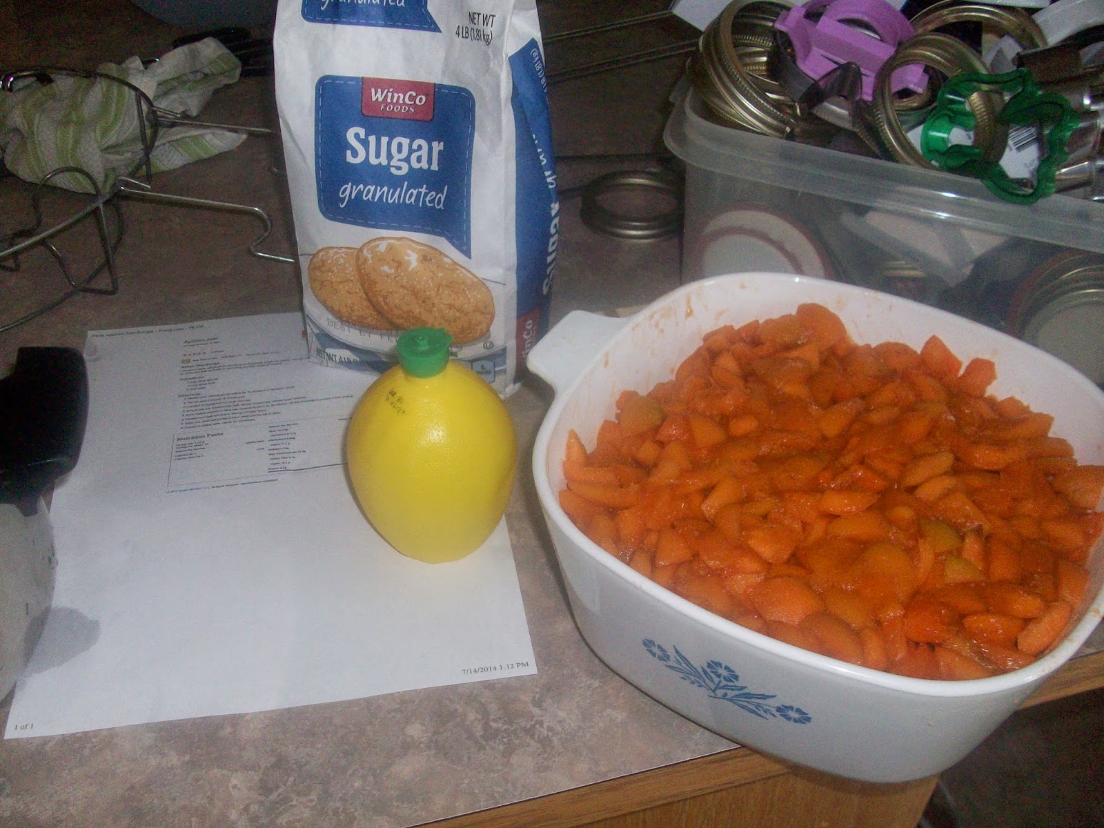 BigFamiliesBigIdeas Apricot Jam? Yes we CAN!